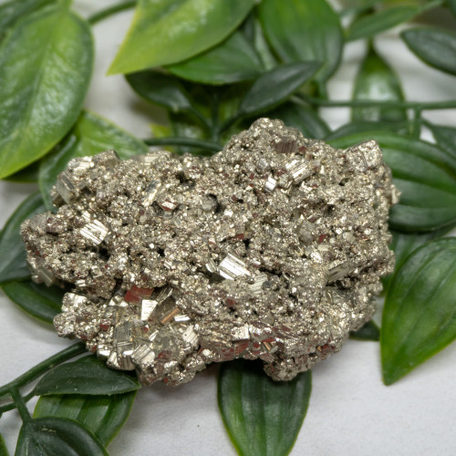 Pyrite #17