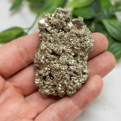 Pyrite #17