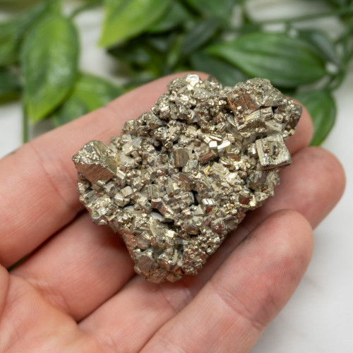 Pyrite #18