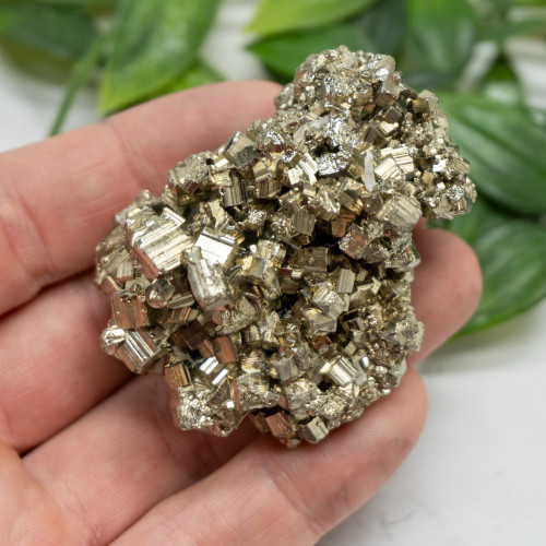 Pyrite #15