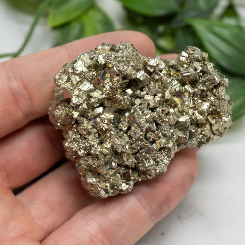 Pyrite #15