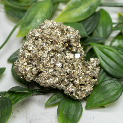 Pyrite #15