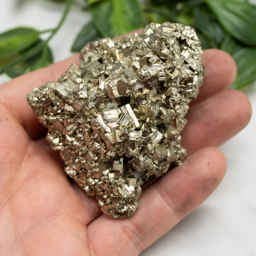 Pyrite #14