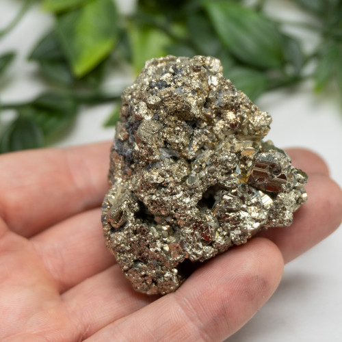 Pyrite #13