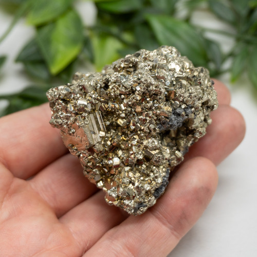 Pyrite #13
