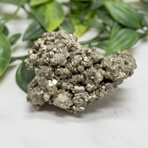 Pyrite #12