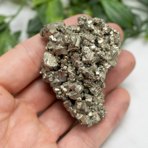 Pyrite #12