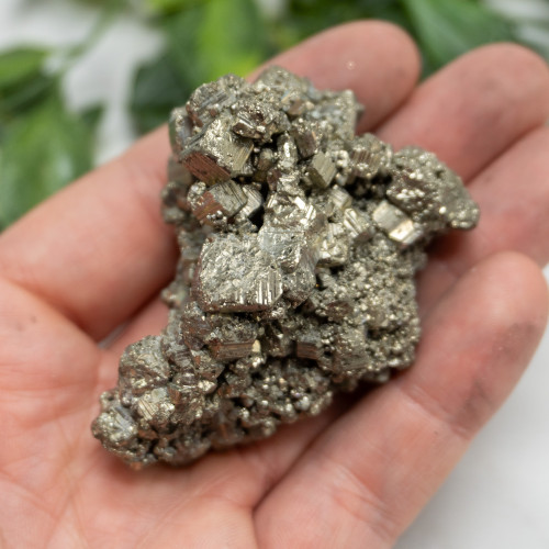 Pyrite #12