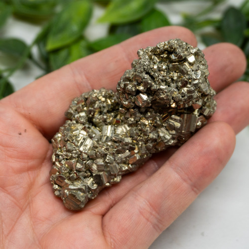 Pyrite #11