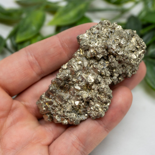 Pyrite #11