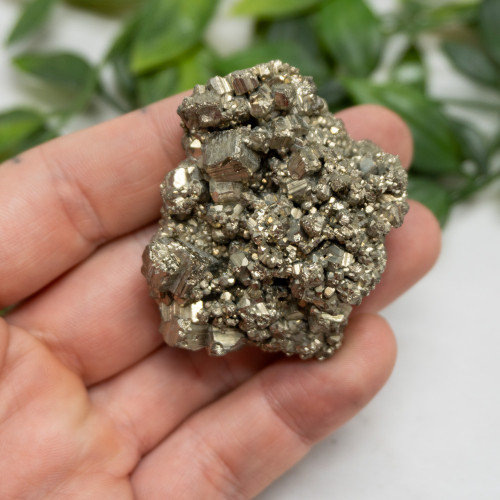 Pyrite #10