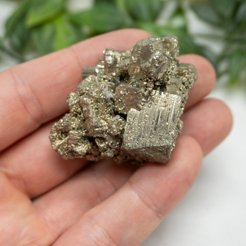 Pyrite #8