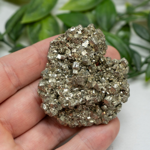 Pyrite #7