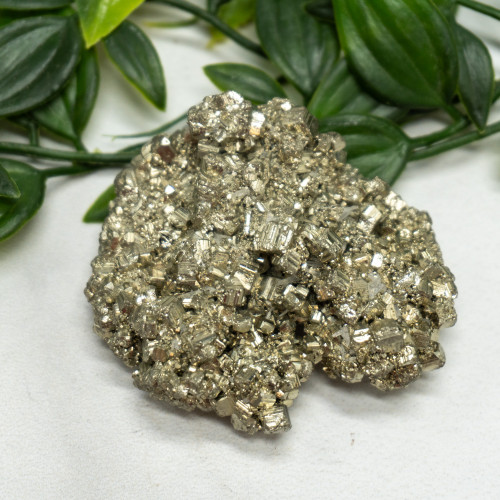 Pyrite #7
