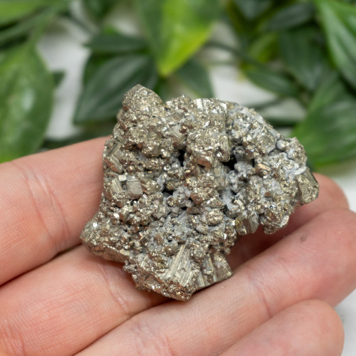 Pyrite #6