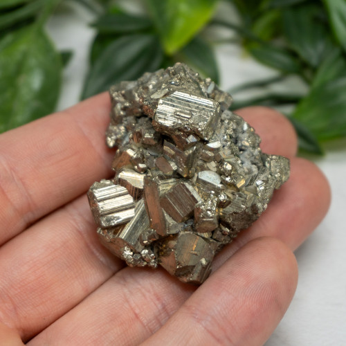 Pyrite #6