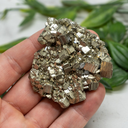 Pyrite #5