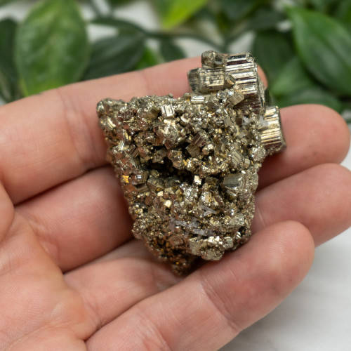 Pyrite #4