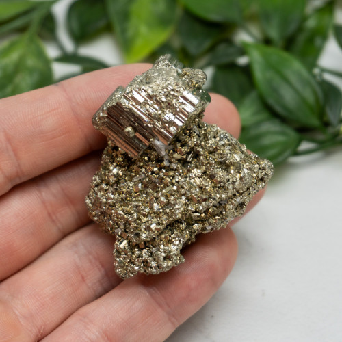 Pyrite #4