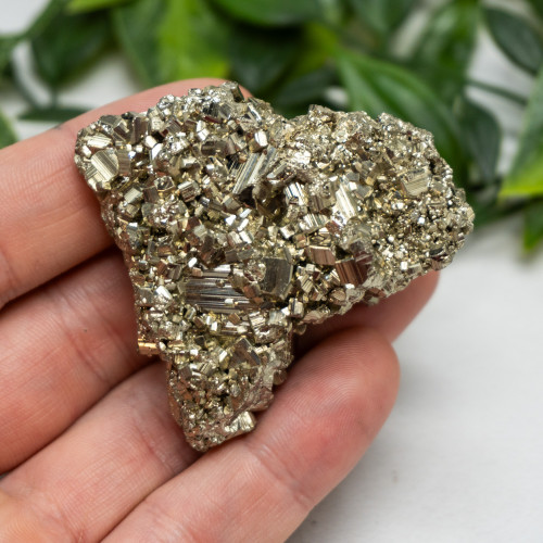 Pyrite #3
