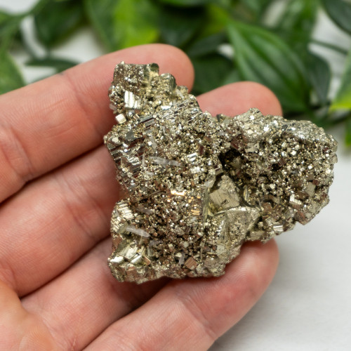 Pyrite #3