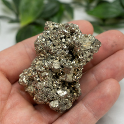 Pyrite #2