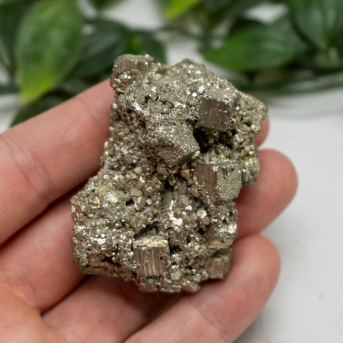 Pyrite #2