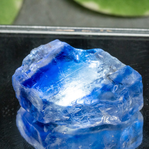 Blue Halite #12