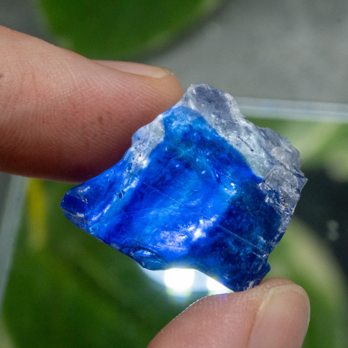 Blue Halite #7
