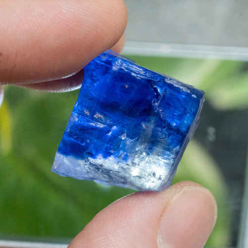 Blue Halite #7