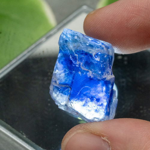 Blue Halite #6