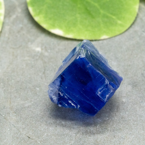 Blue Halite #5