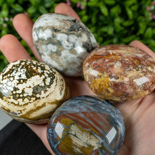 Ocean Jasper Palmstone