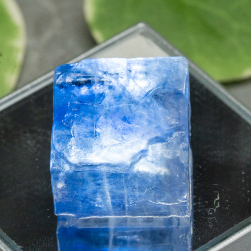 Blue Halite #4