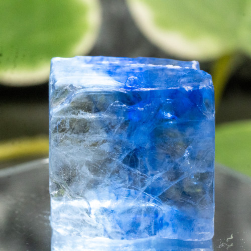 Blue Halite #4