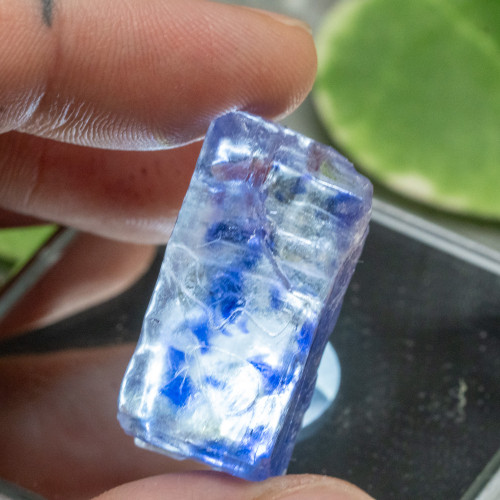 Blue Halite #2
