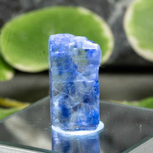 Blue Halite #2