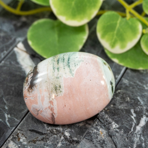 Unicorn Jasper Palmstone #10