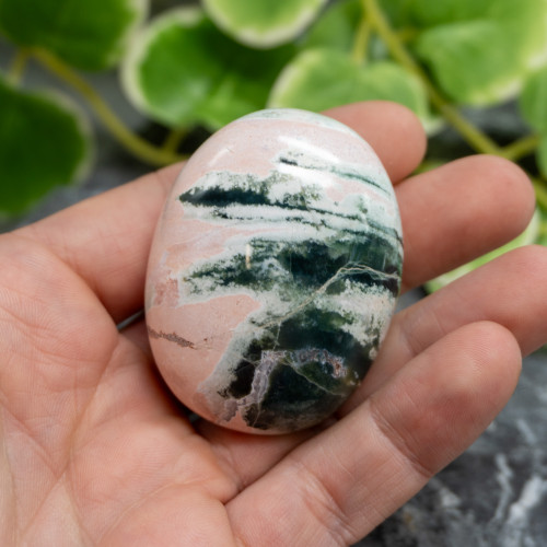 Unicorn Jasper Palmstone #10