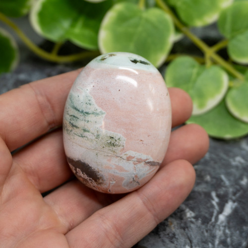 Unicorn Jasper Palmstone #10