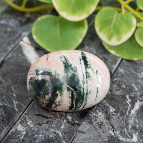 Unicorn Jasper Palmstone #10