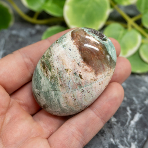 Unicorn Jasper Palmstone #8
