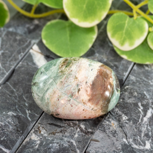 Unicorn Jasper Palmstone #8