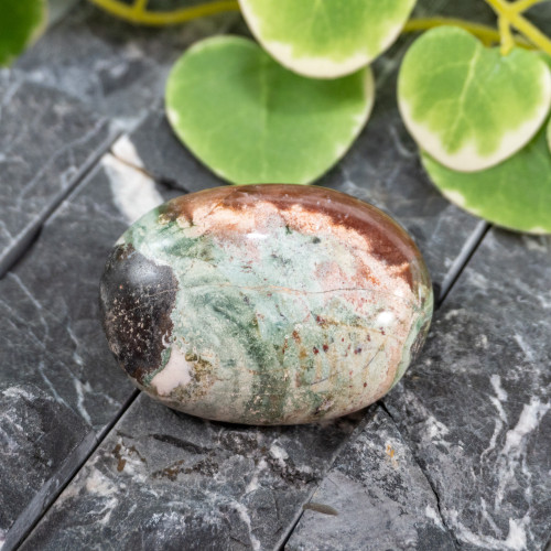 Unicorn Jasper Palmstone #7