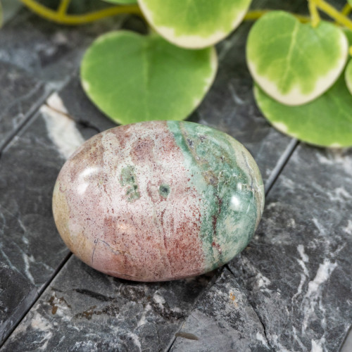 Unicorn Jasper Palmstone #6