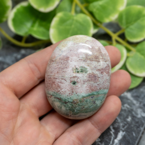 Unicorn Jasper Palmstone #6