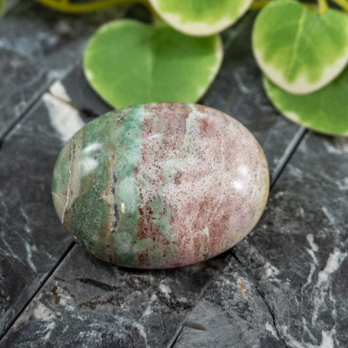 Unicorn Jasper Palmstone #6
