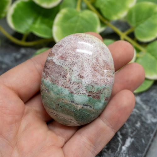 Unicorn Jasper Palmstone #6