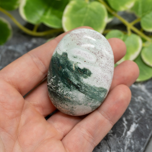 Unicorn Jasper Palmstone #5