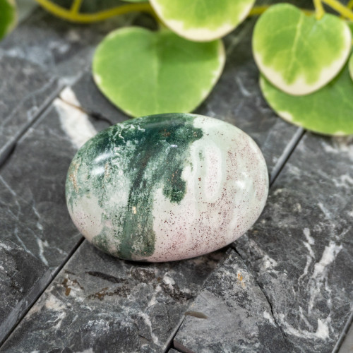 Unicorn Jasper Palmstone #5